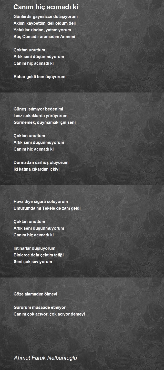 Ahmet Faruk Nalbantoglu