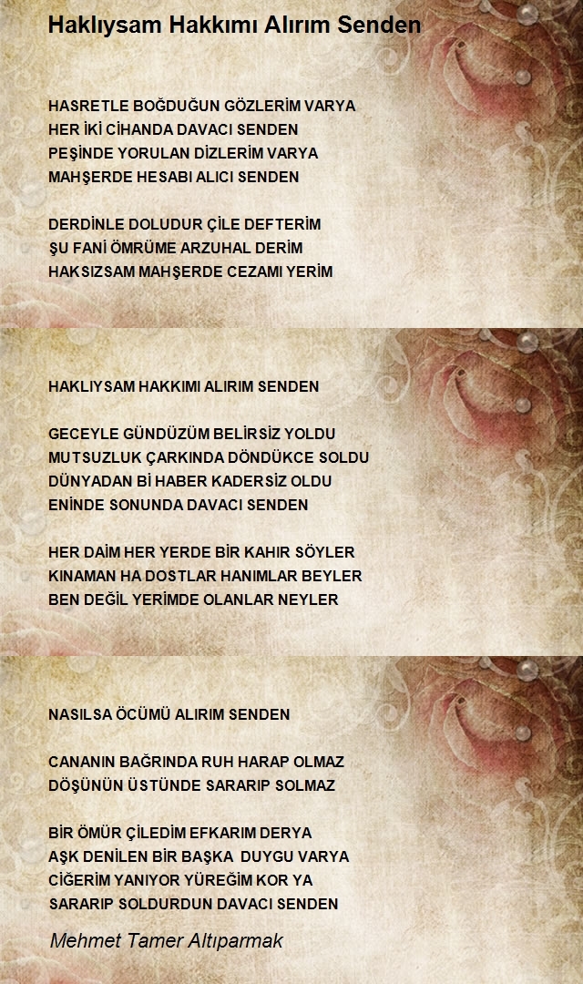 Mehmet Tamer Altıparmak
