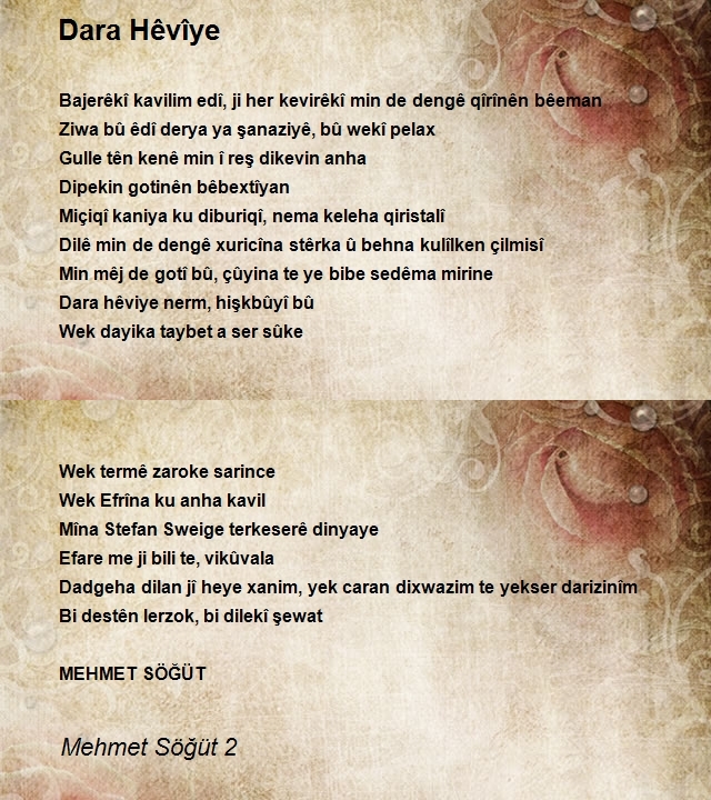Mehmet Söğüt 2