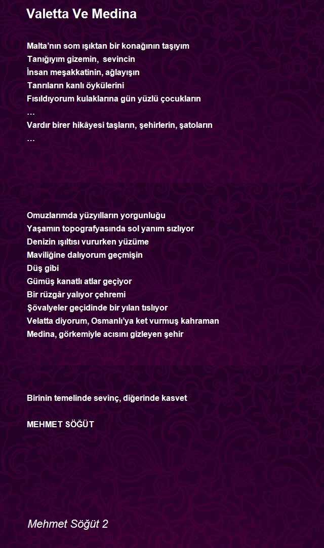 Mehmet Söğüt 2
