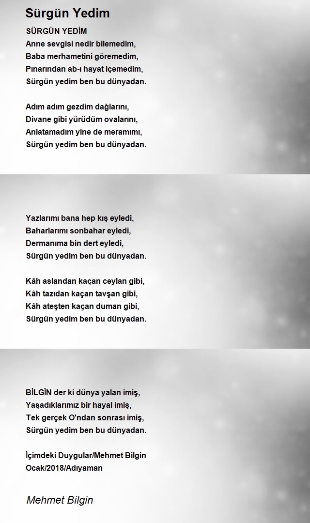 Mehmet Bilgin