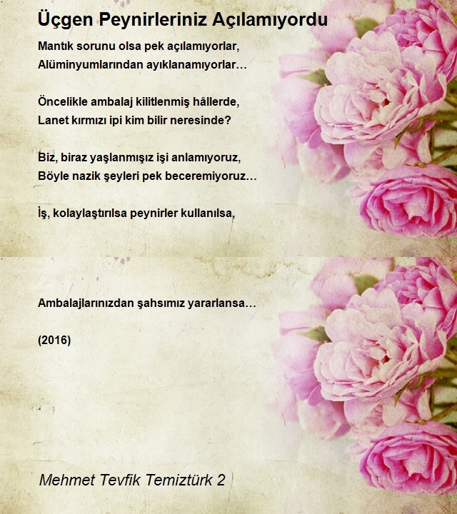 Mehmet Tevfik Temiztürk 2