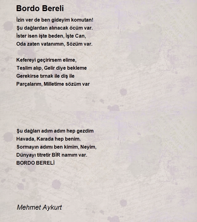 Mehmet Aykurt