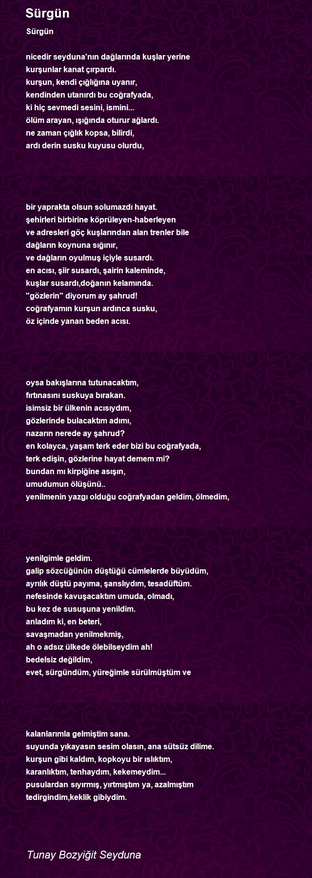 Tunay Bozyiğit Seyduna