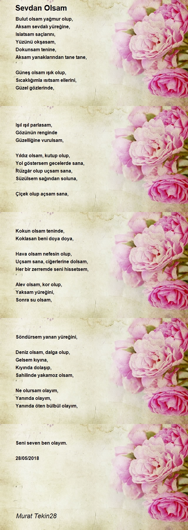 Murat Tekin28