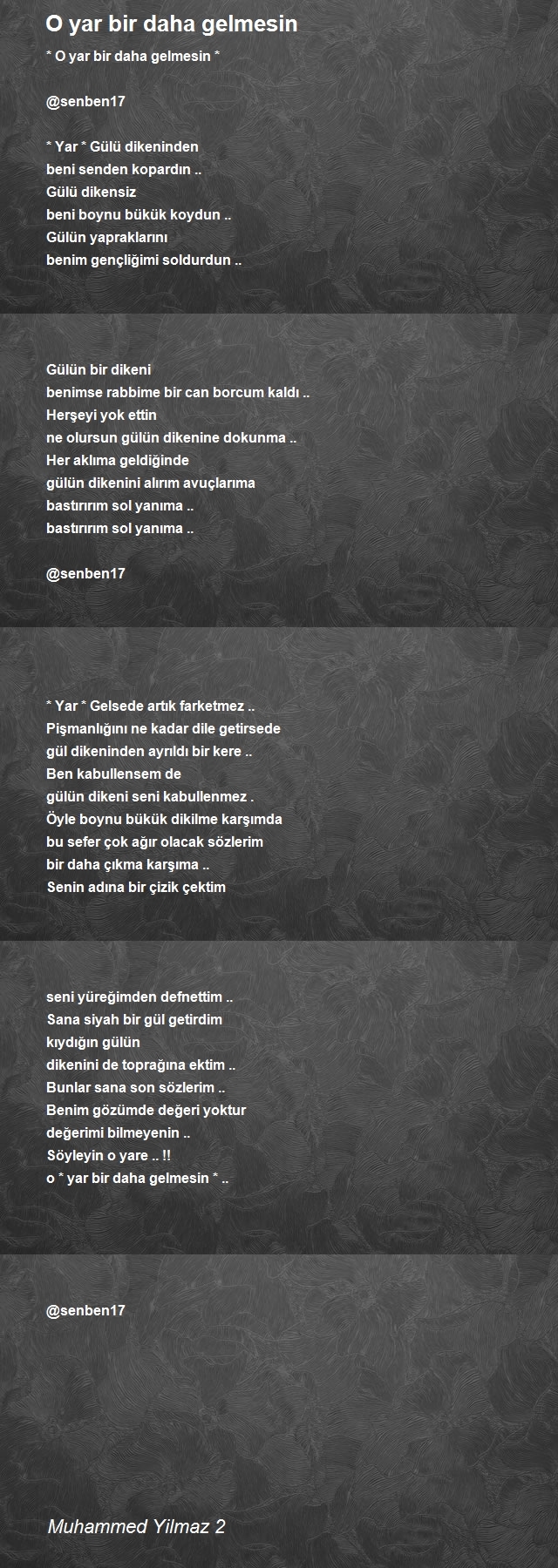Muhammed Yilmaz 2