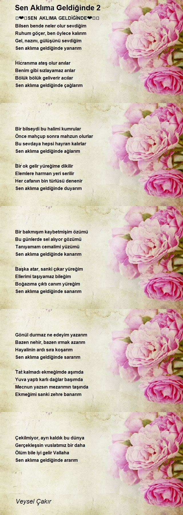 Veysel Çakır