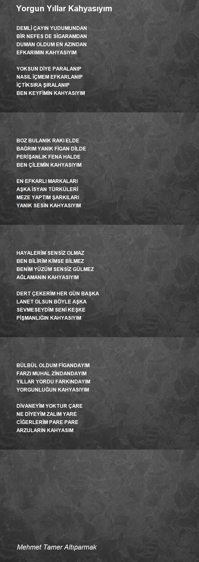 Mehmet Tamer Altıparmak