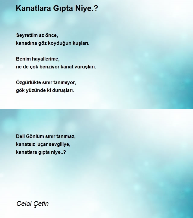 Celal Çetin