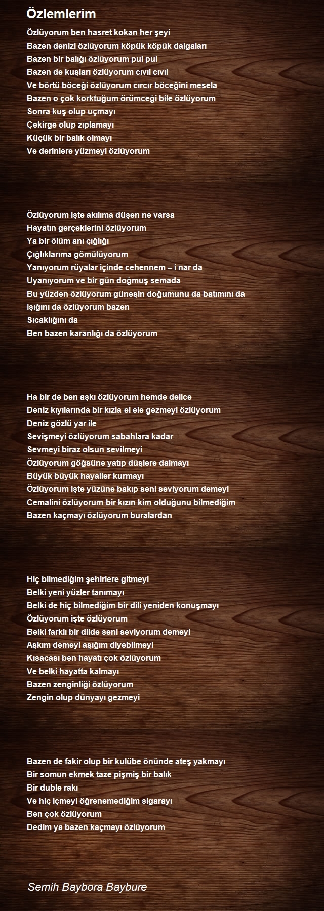 Semih Baybora Baybure