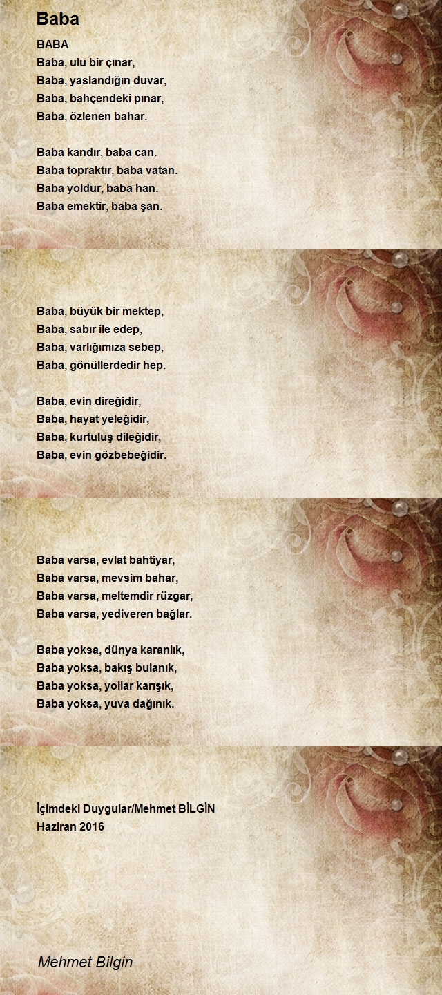 Mehmet Bilgin