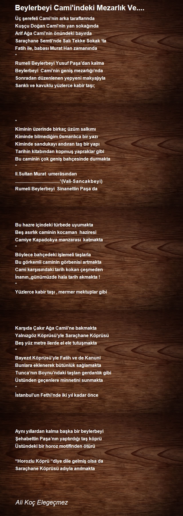 Ali Koç Elegeçmez