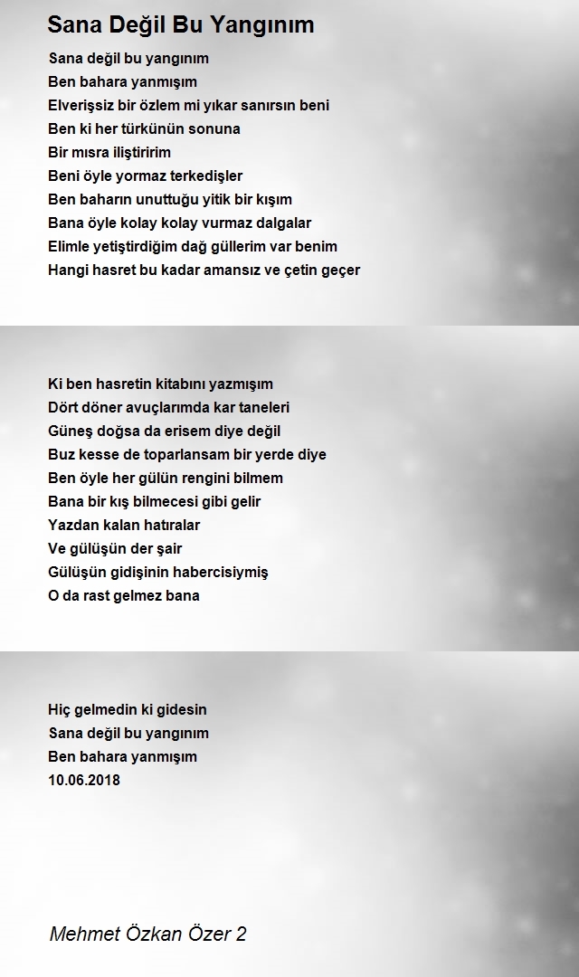 Mehmet Özkan Özer 2