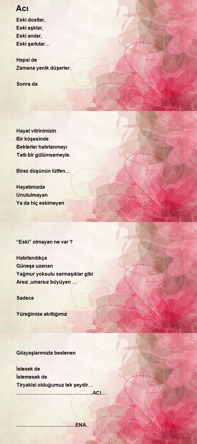 Nilgün Akçay