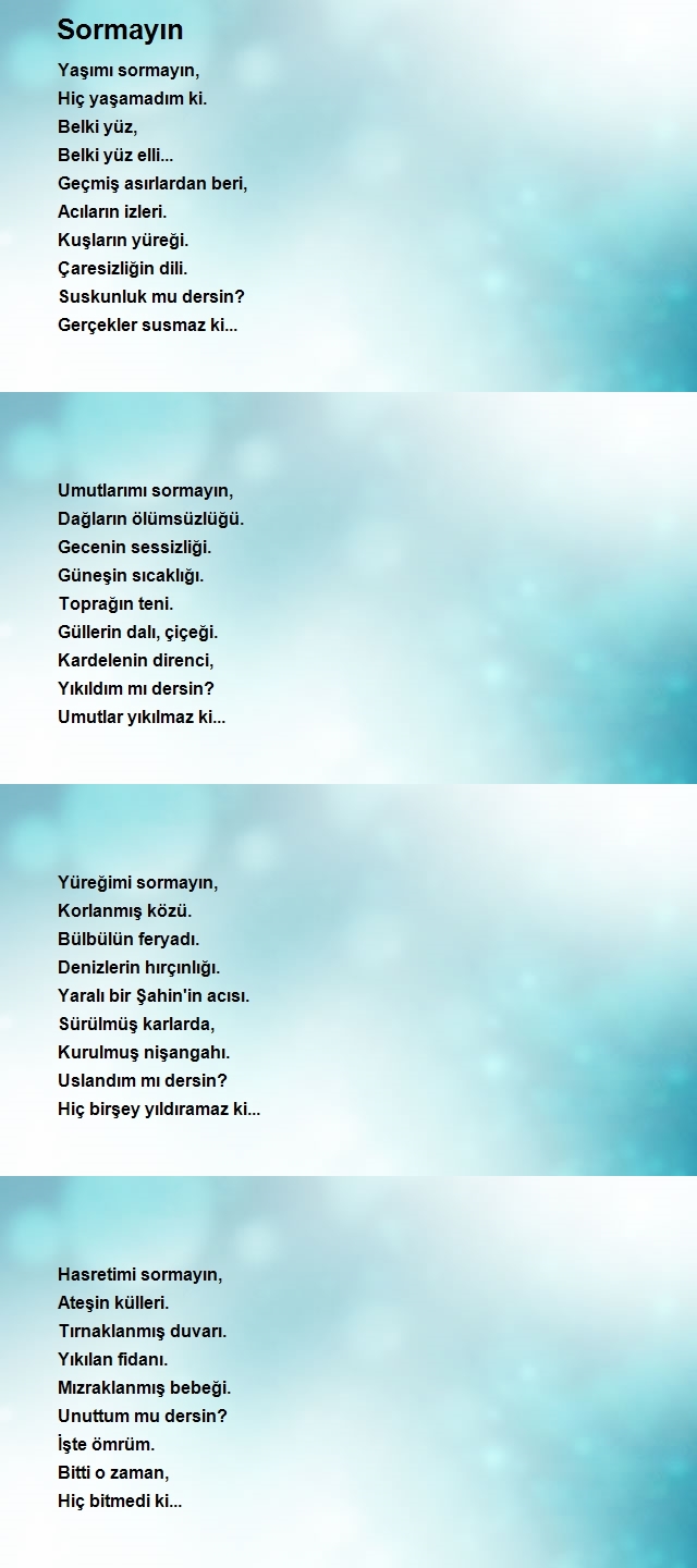 İsmet Şahin 2