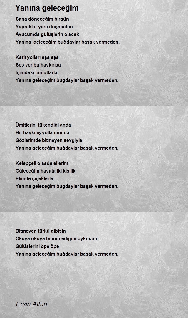 Ersin Altun