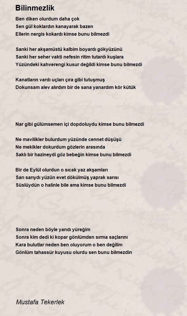 Mustafa Türkoğlu