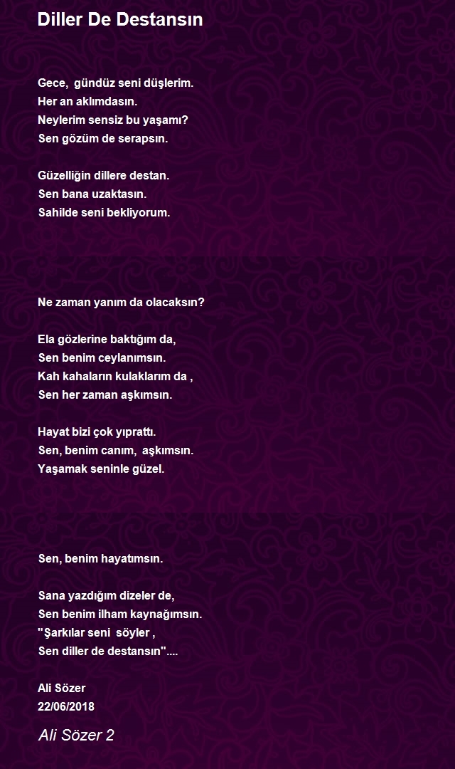 Ali Sözer 2
