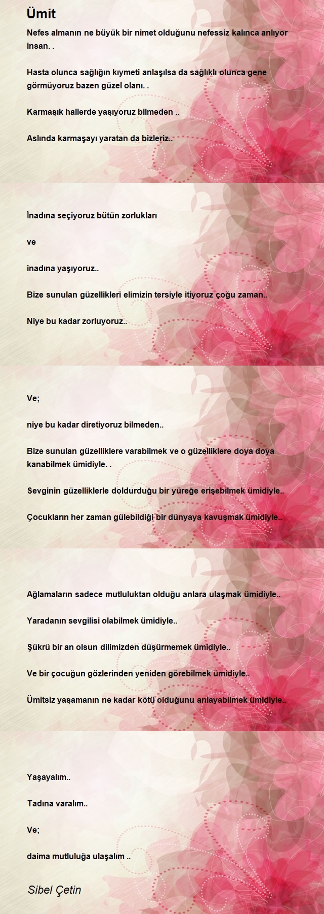 Sibel Çetin
