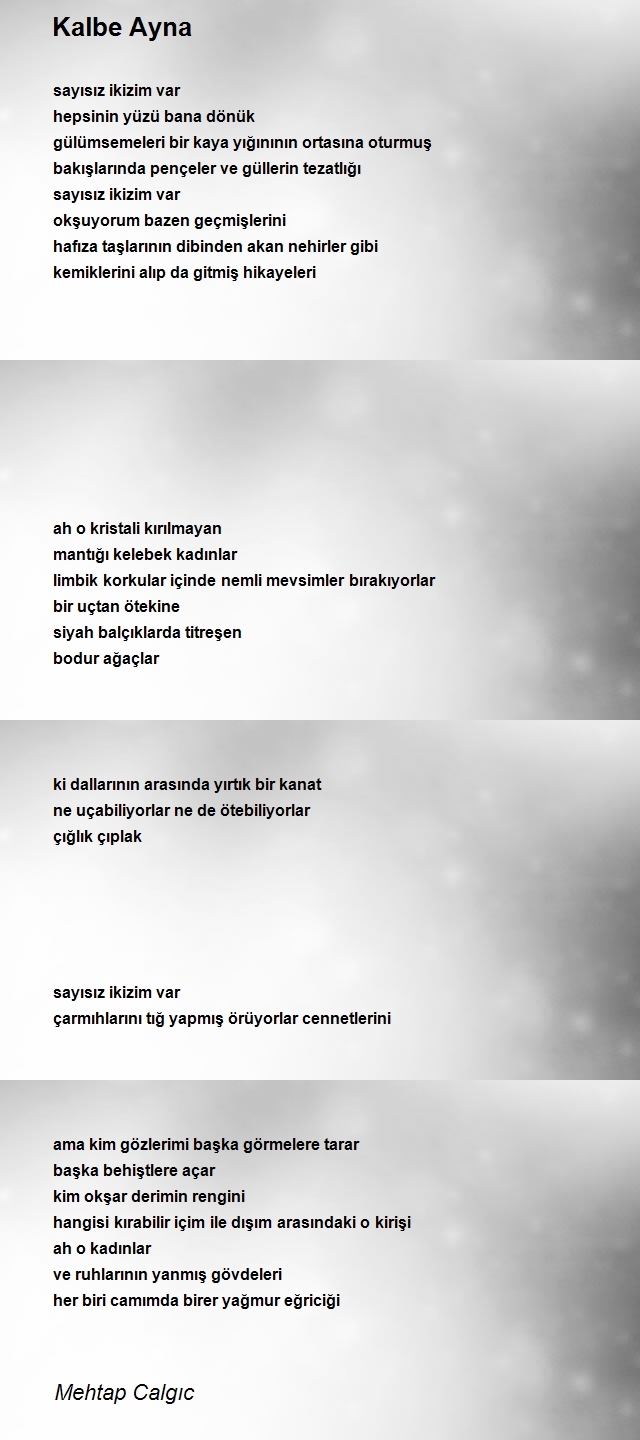 Mehtap Calgıc