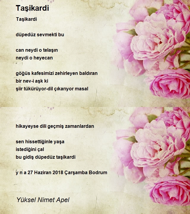 Yüksel Nimet Apel
