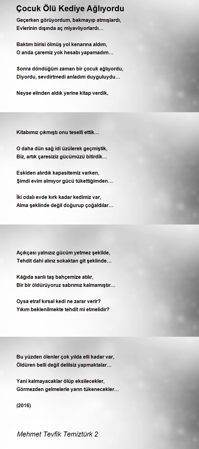 Mehmet Tevfik Temiztürk 2