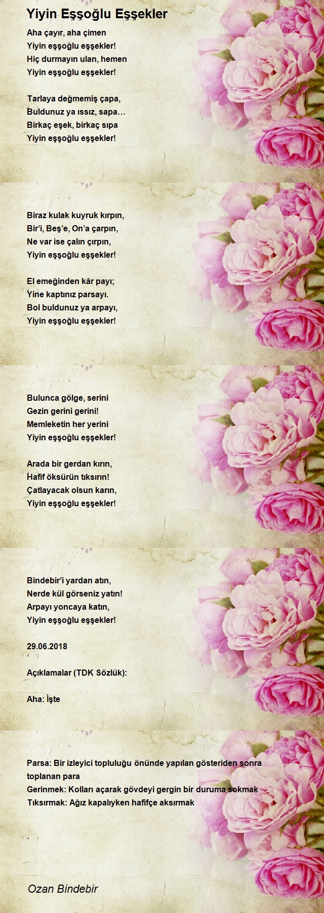Ozan Bindebir