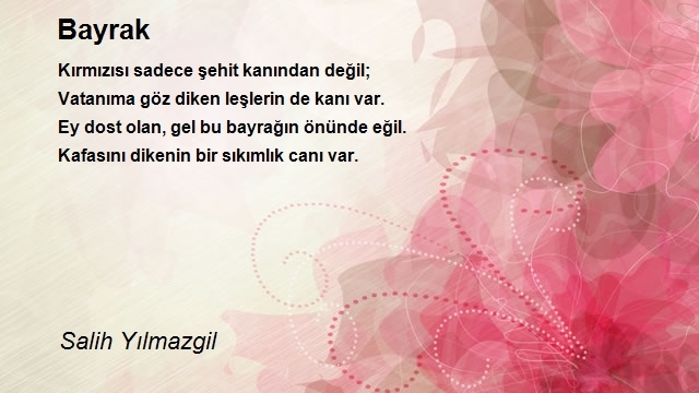 Salih Yılmazgil