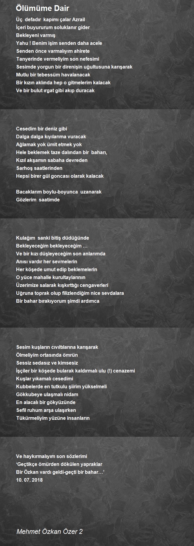 Mehmet Özkan Özer 2