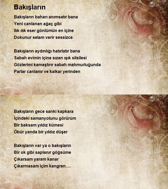 Ayşe Sevinç Erginsoy