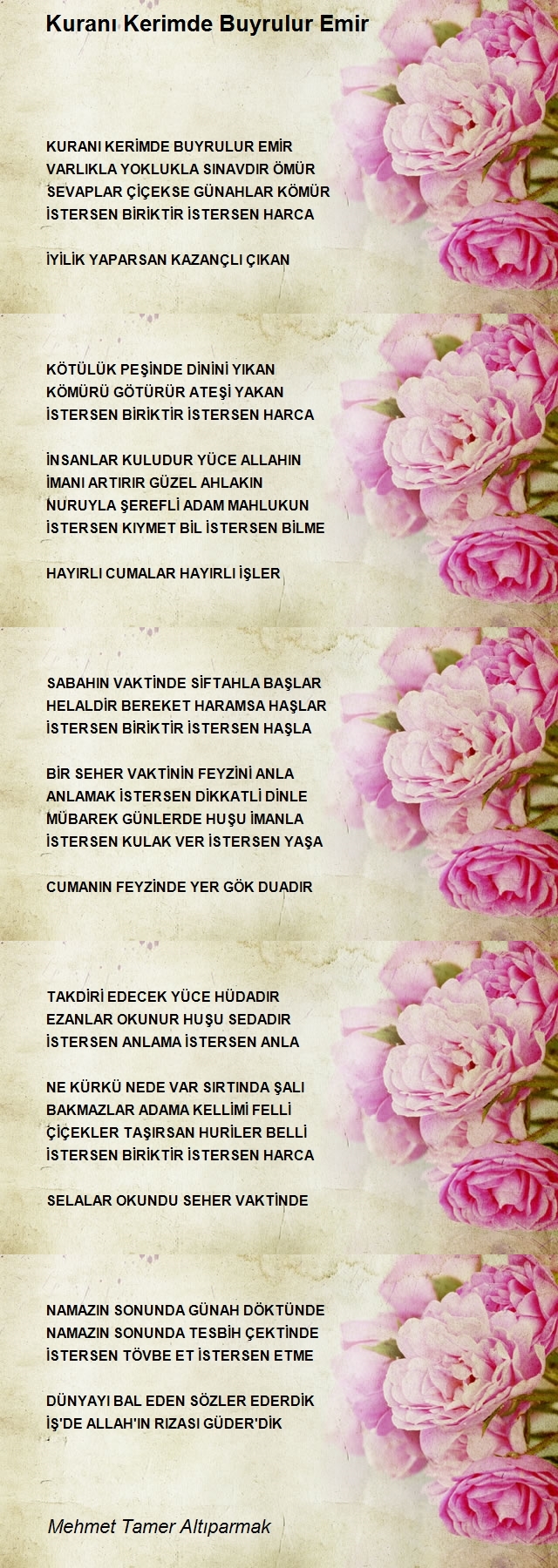Mehmet Tamer Altıparmak