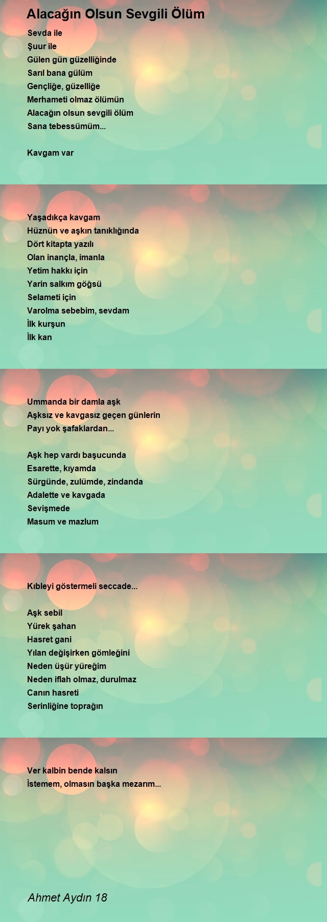 Ahmet Aydın 18