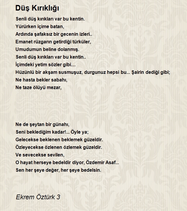 Ekrem Öztürk 3