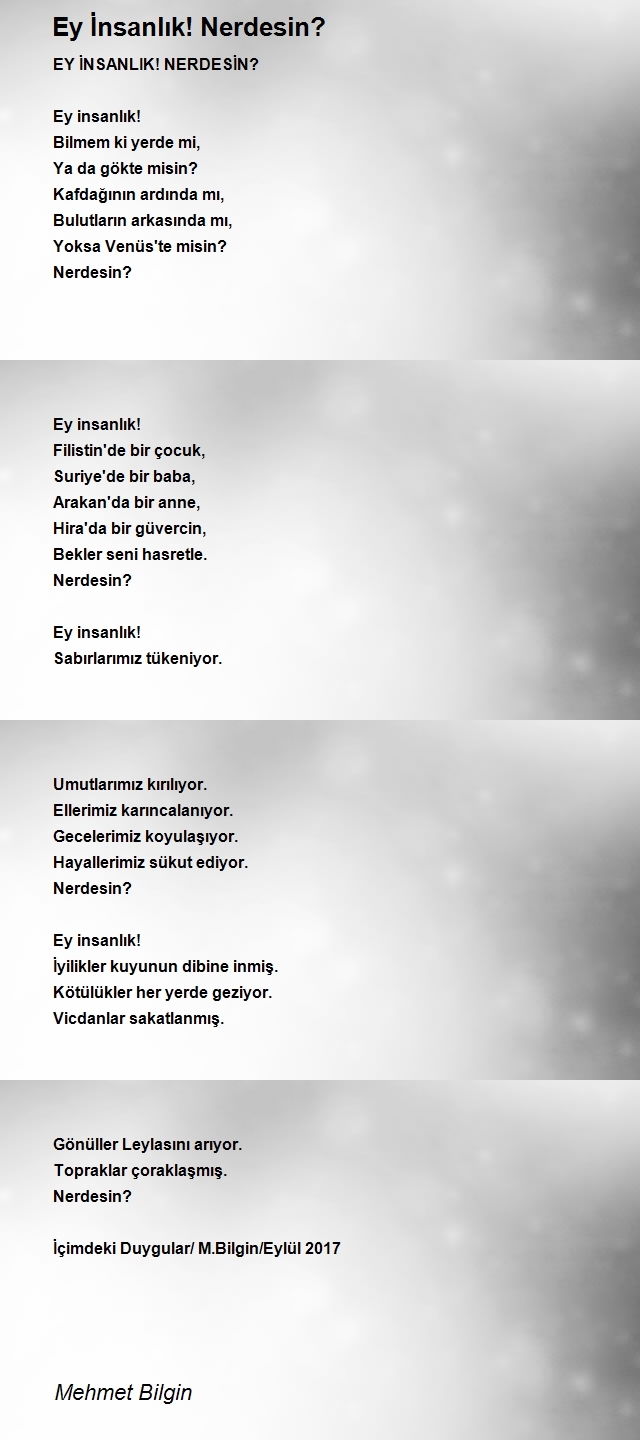 Mehmet Bilgin