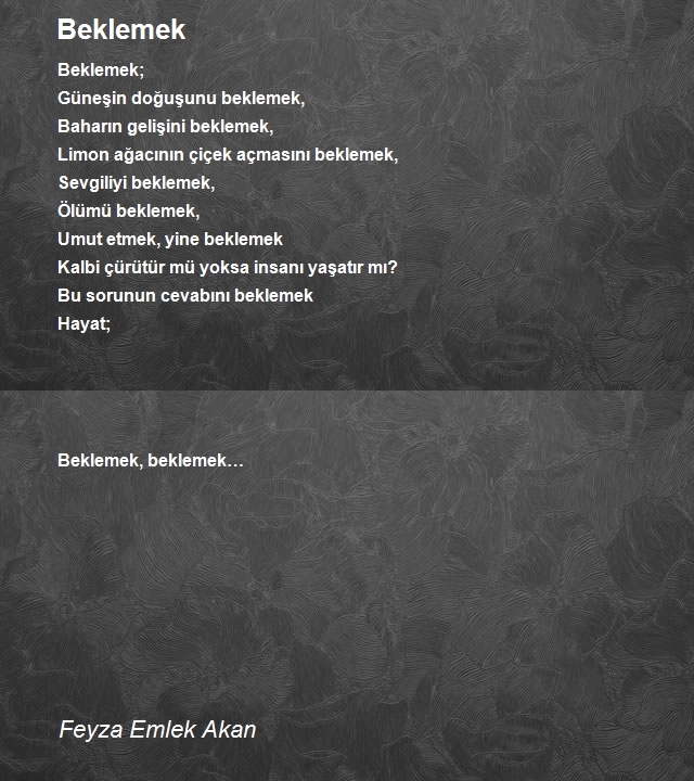Feyza Emlek Akan