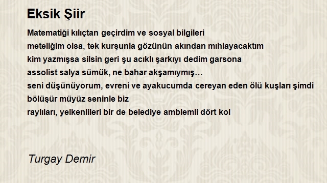Turgay Demir