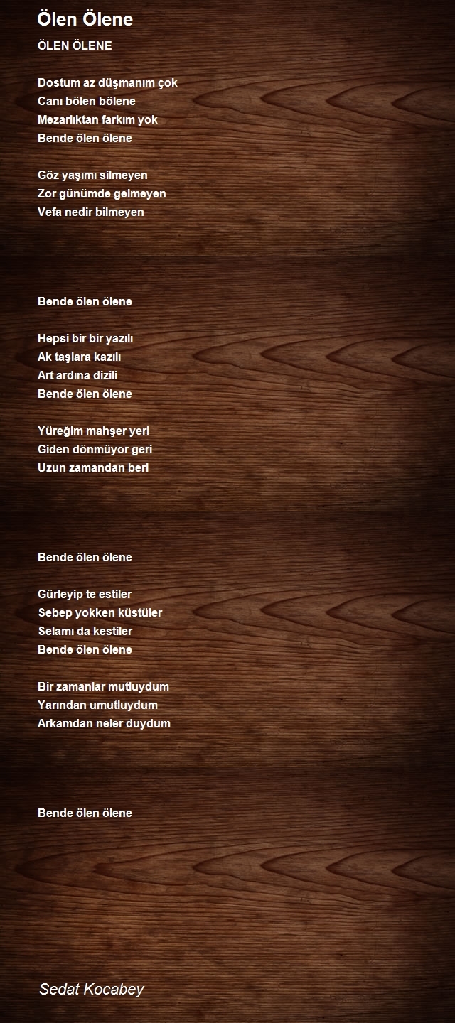 Sedat Kocabey