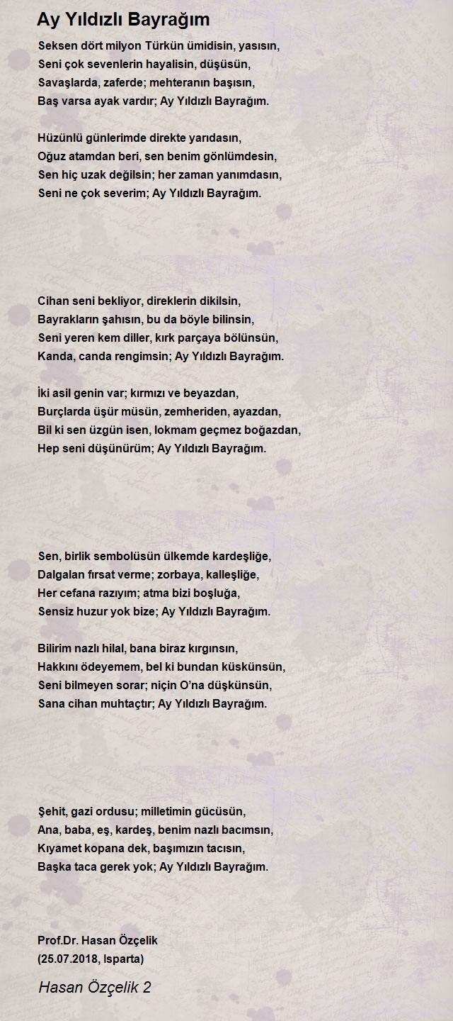 Hasan Özçelik 2