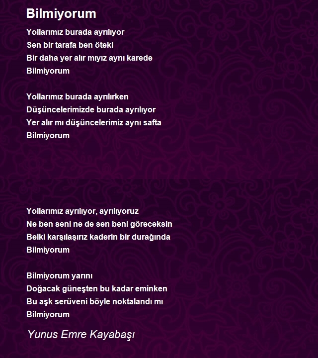 Yunus Emre Kayabaşı