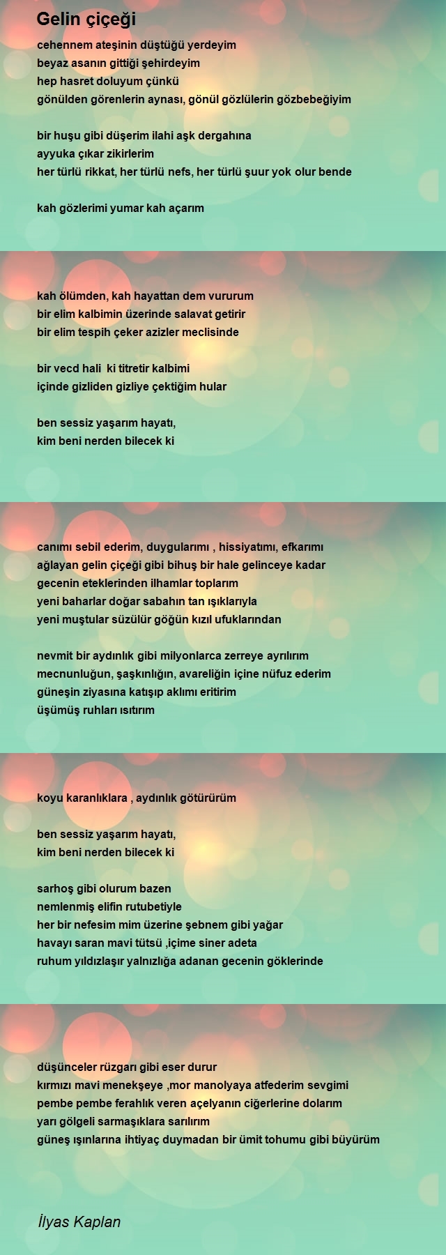 İlyas Kaplan