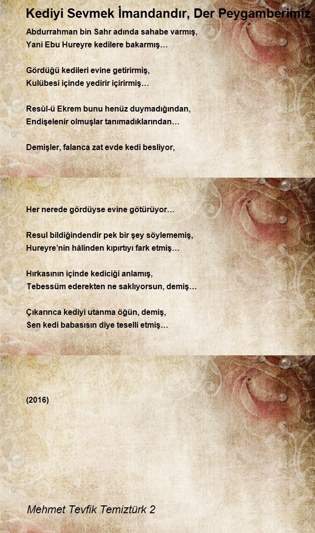 Mehmet Tevfik Temiztürk 2