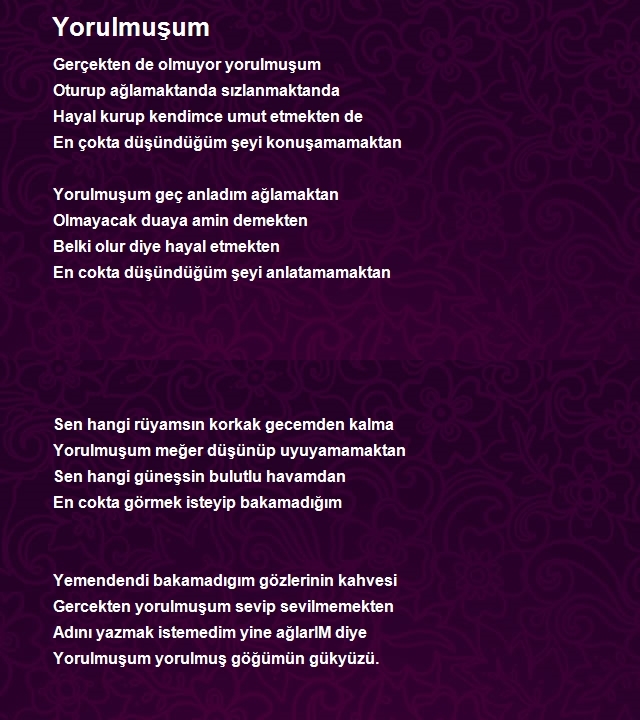 Tolga Bayrı