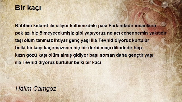 Halim Camgoz