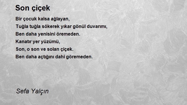 Sefa Yalçın