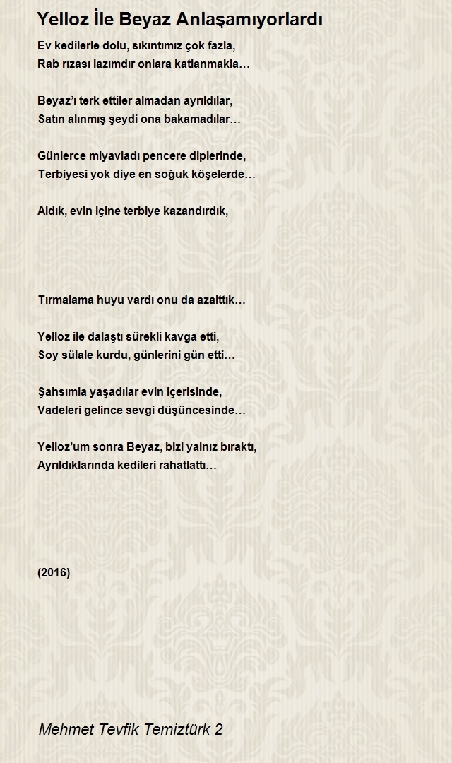 Mehmet Tevfik Temiztürk 2