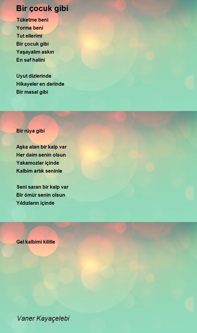 Vaner Kayaçelebi