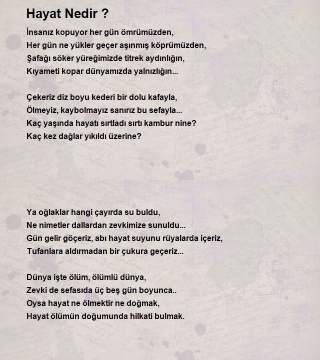 Abdurrahman Yaşar 2