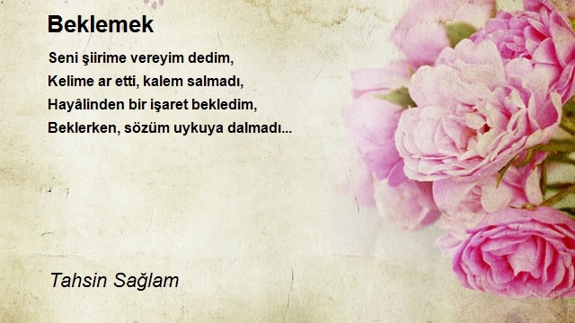 Tahsin Sağlam