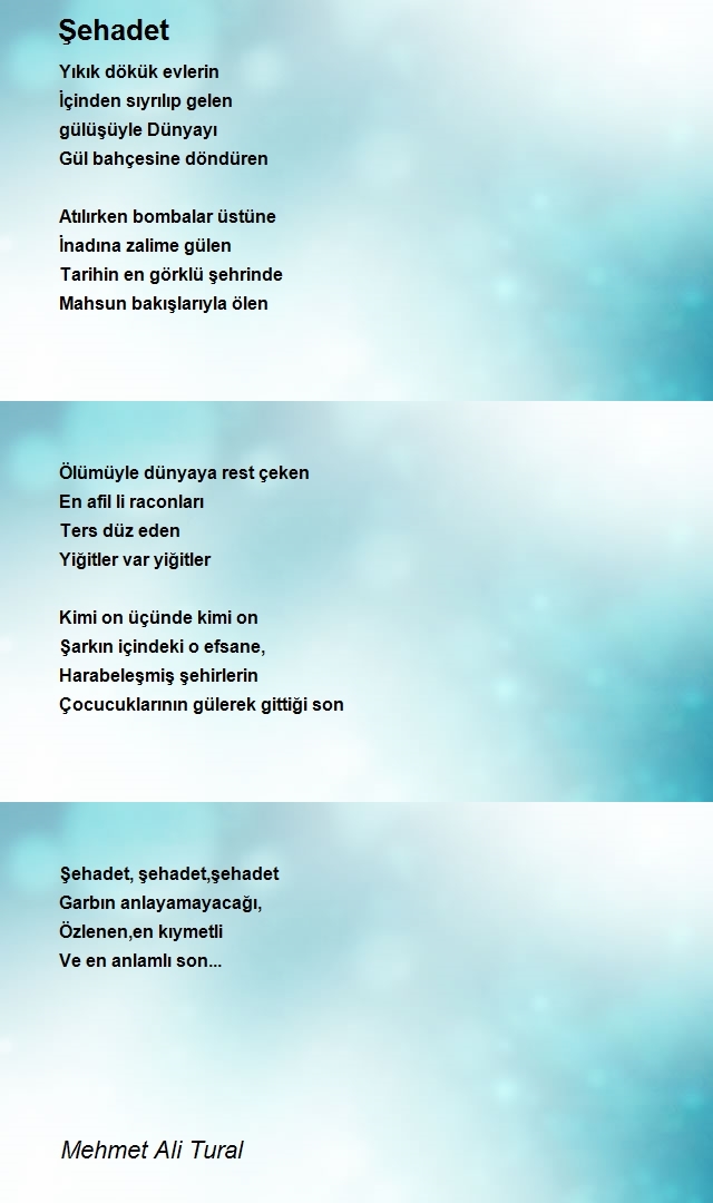 Mehmet Ali Tural
