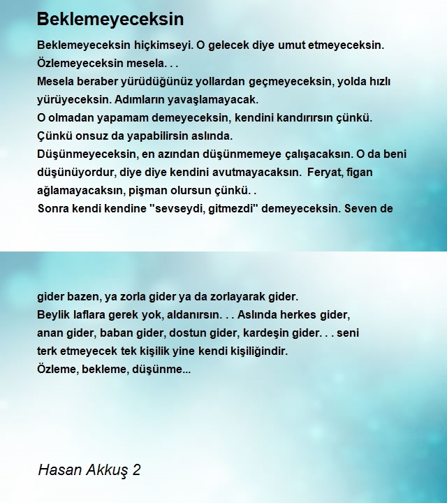 Hasan Akkuş 2